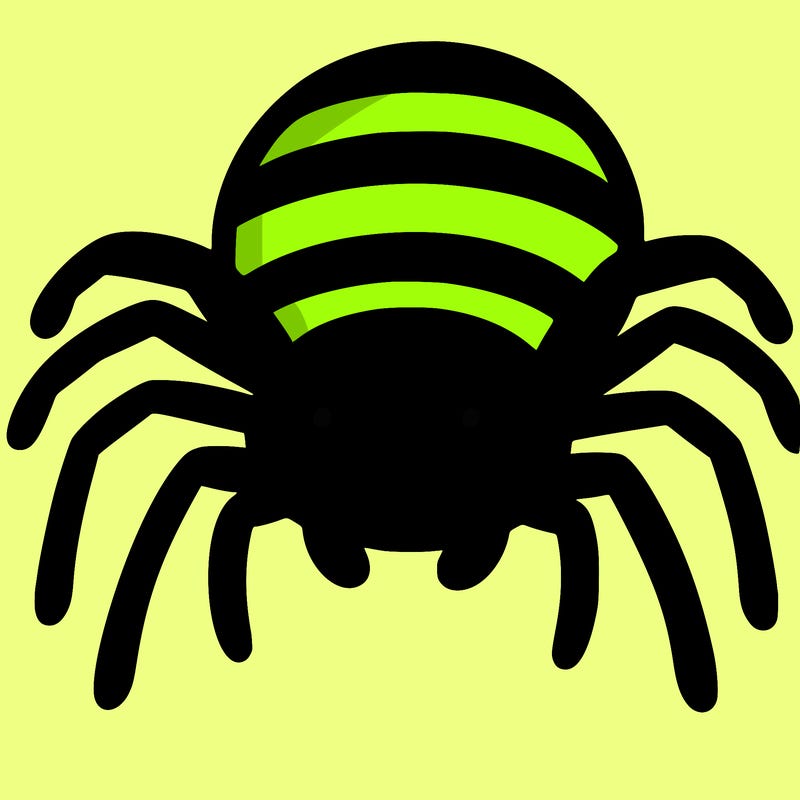 spider
