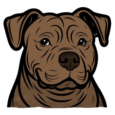pitbull
