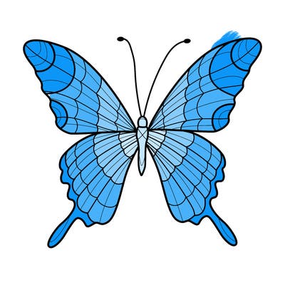 animals_17