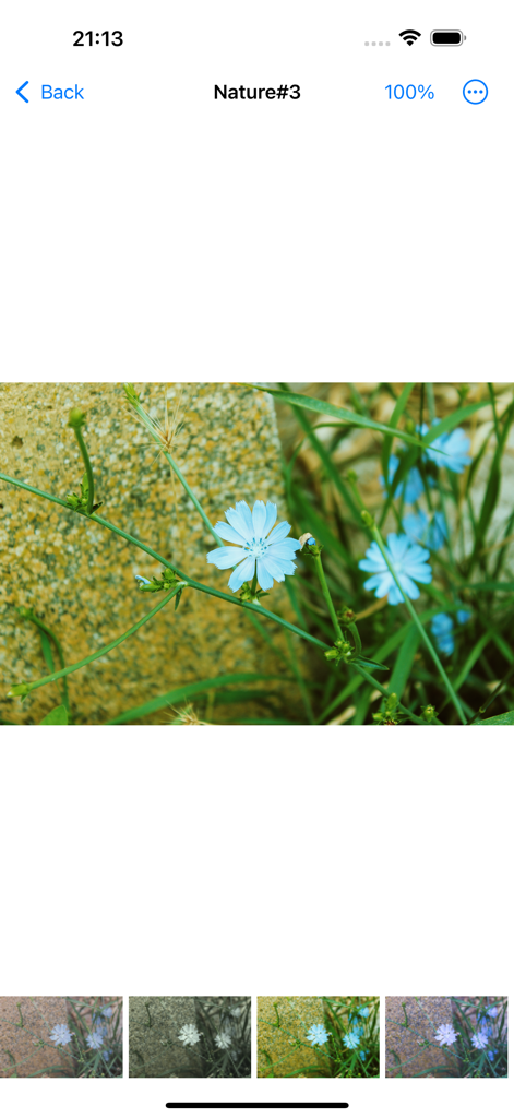 Previsualizando gradaciones de color en una foto de una flor azul usando la aplicación LUT Viewer para iOS.