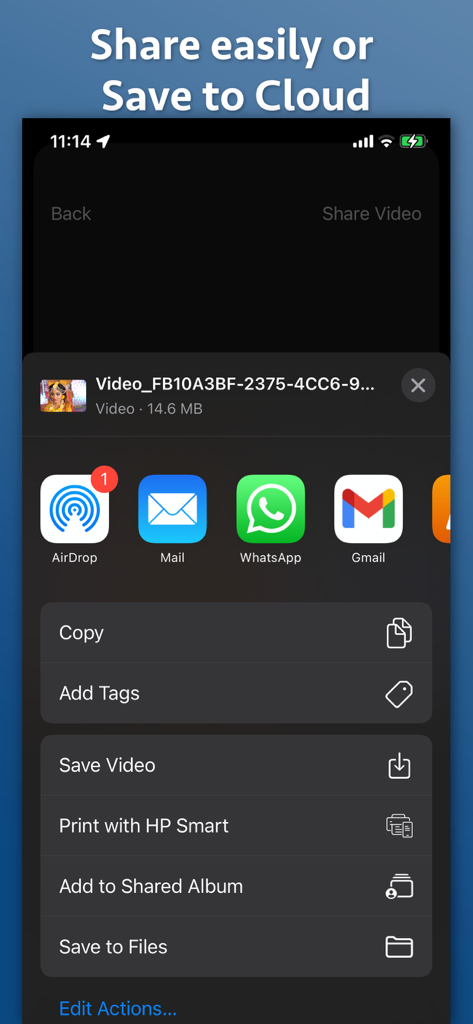 iOS-Freigabemenü in der Video Looper Pro App, das Optionen zum Speichern oder Exportieren geloopter Videos anzeigt