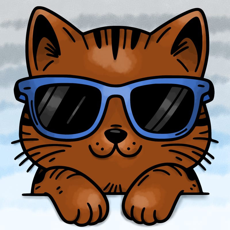 cat with sunglasses