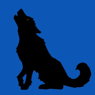 animals_36