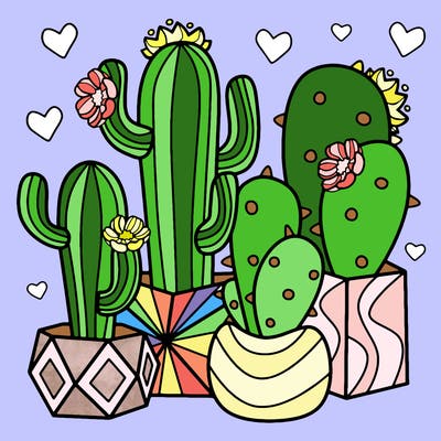 flowers_24_new