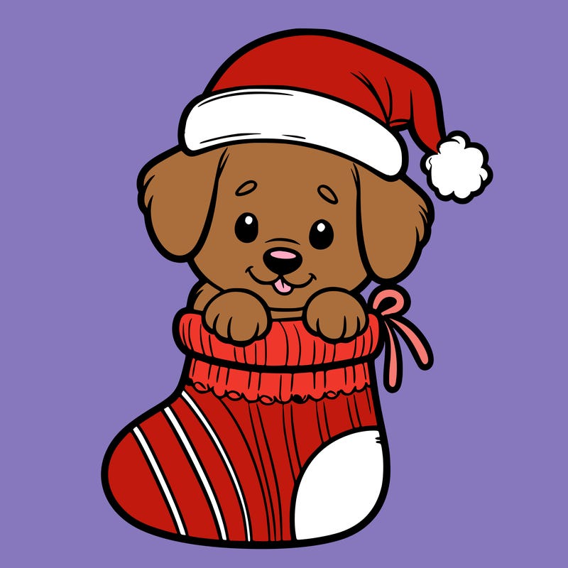 cute puppy wearing santa hat in socking