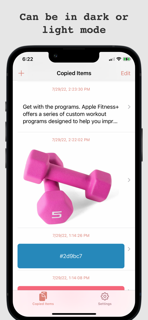 Ditto Pasteboard - A chronological list of copied items including text, an image of dumbbells, and a color hex code in the Ditto Pasteboard app interface.