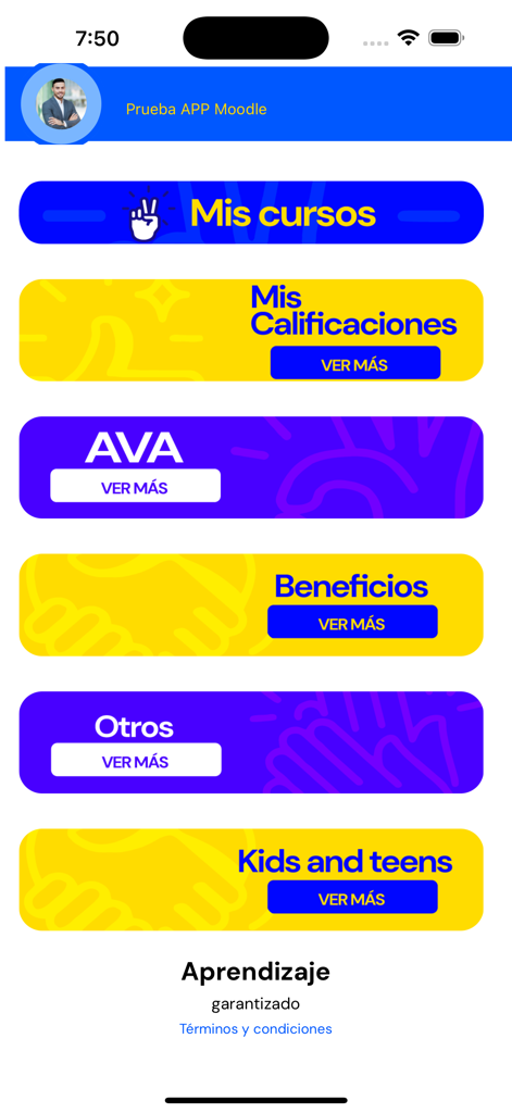 Main menu of the AE Virtual Class mobile app with sections for courses and grades