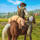 West Survival of Cowboy Horse