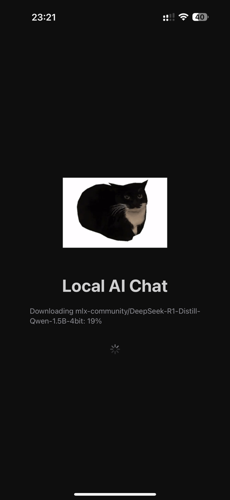 Local AI Chat splash screen displaying a tuxedo cat image and DeepSeek model download progress at 19 percent