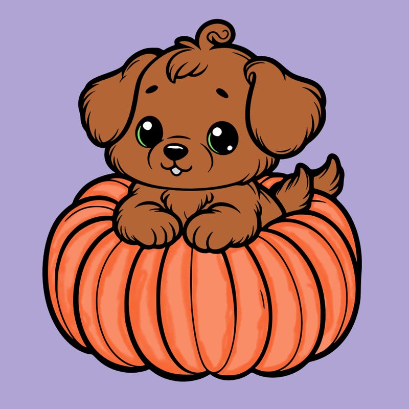 cute little puppy in a pumpkin