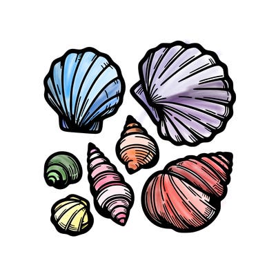 shells