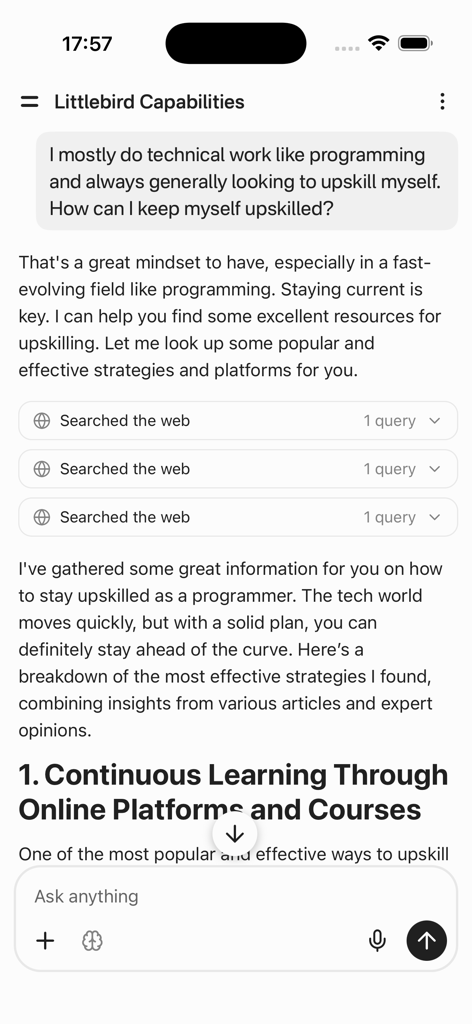 A chat interface in the Littlebird AI mobile app showing a conversation about upskilling as a programmer with web search results.