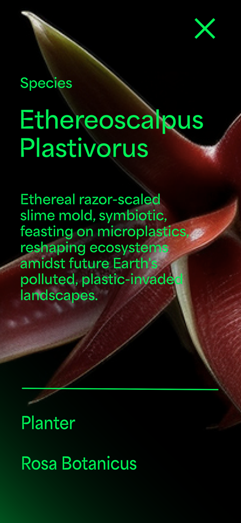 Future Botanica - Ethereoscalpus Plastivorus라는 디지털 식물 종에 대한 설명을 보여주는 Future Botanica 앱의 스크린샷.