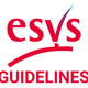 ESVS Clinical Guidelines