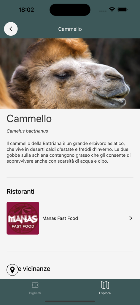 Screenshot dell'app Natura Viva che mostra una pagina informativa per un cammello battriano con una foto e dettagli sui ristoranti vicini