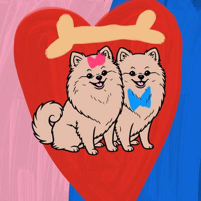 2 cute pomeranians next to each other