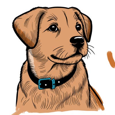 dog realistic