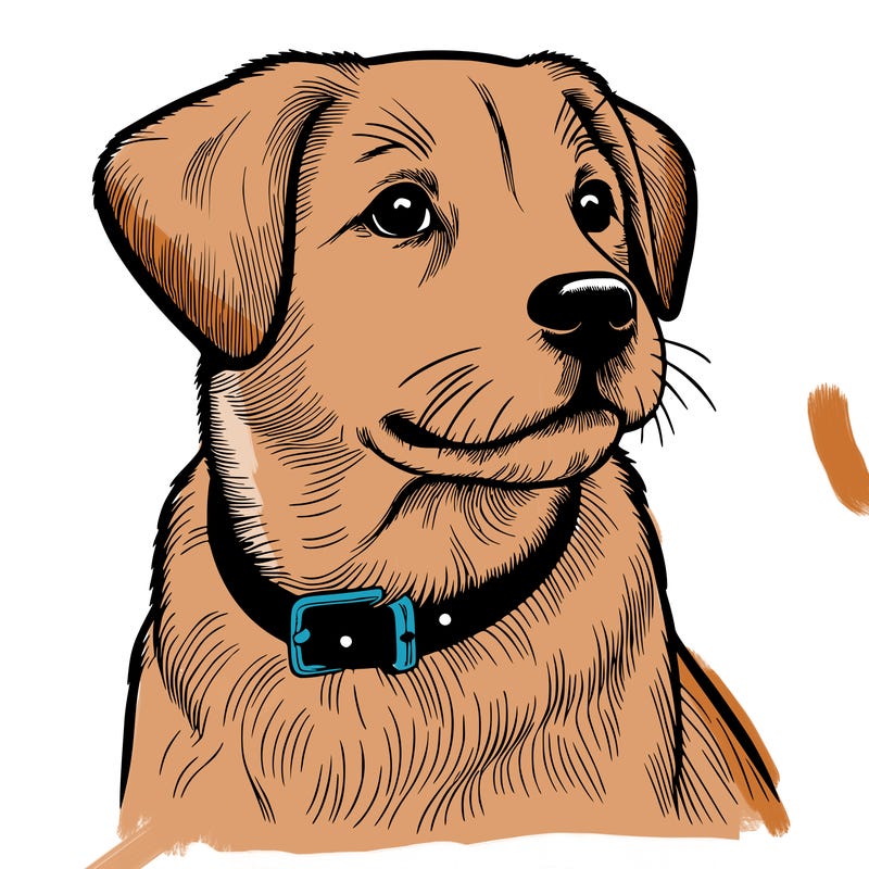 dog realistic
