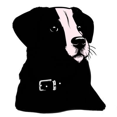 dog realistic