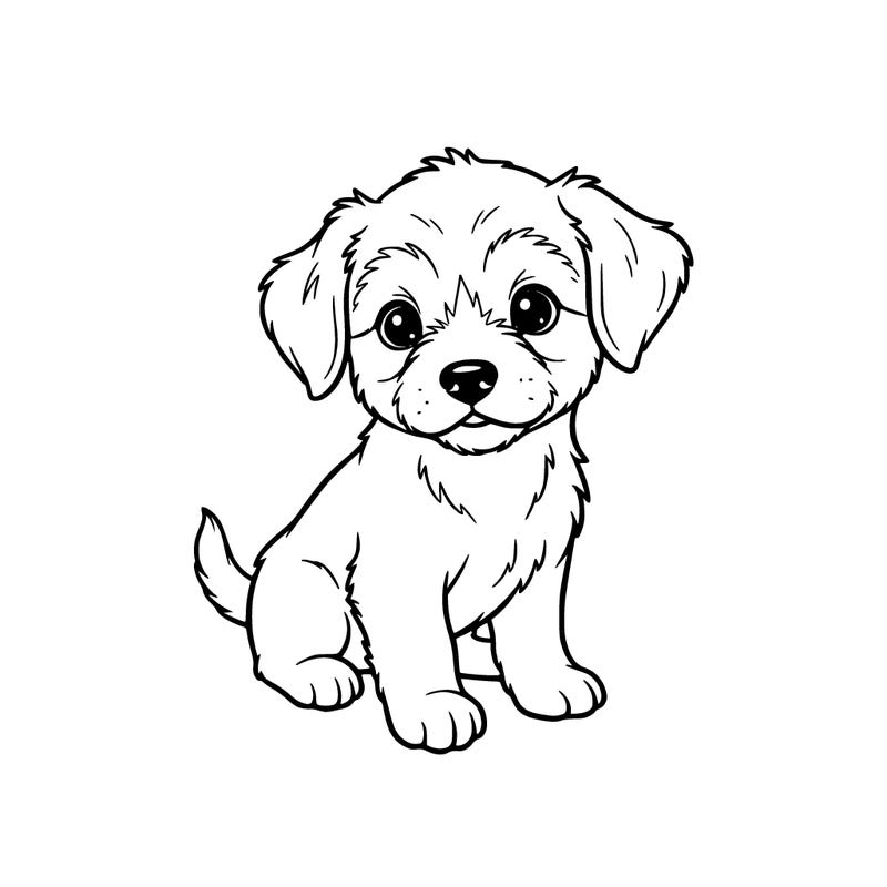 a cute puppy