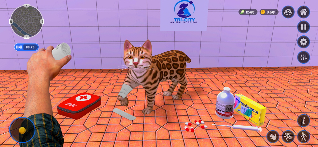 Animal Shelter Pet Dog Rescue - Cura di un gatto ferito nell'ospedale per animali con forniture di primo soccorso in un simulatore di salvataggio animali