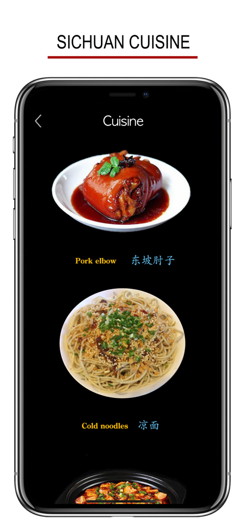 Sichuanese - Chinese Dialect - 돼지고기 팔꿈치와 차가운 국수 요리 이미지와 중국어 및 영어 라벨이 있는 쓰촨 요리를 보여주는 모바일 앱 화면