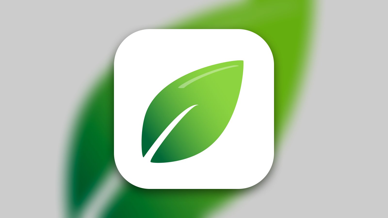 ephoria: Mental Health Coach - App de Salud y forma física | MWM