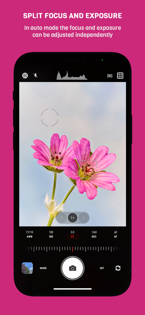 CameraPixels PRO - CameraPixels PRO interface showing independent adjustment of focus and exposure on a macro flower shot