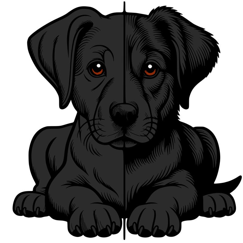 realistic dog split picture