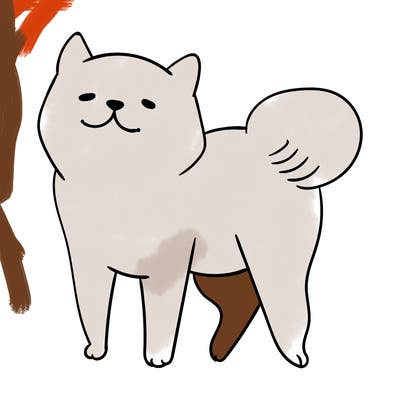 animals_29