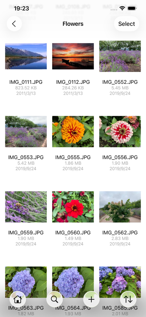 FE File Explorer Pro - FE File Explorer Pro interface displaying a grid of photos within a folder named Flowers