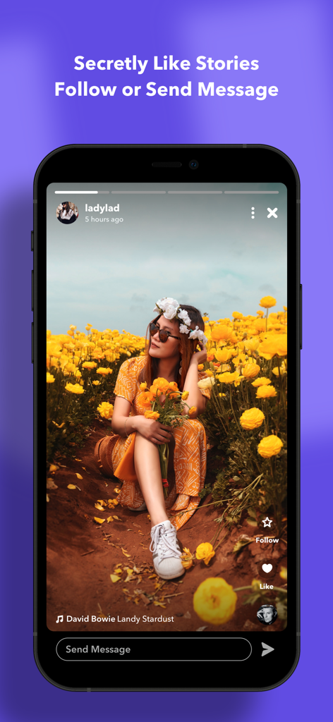 Anonymous Chat & Fun - Interface de l'application Chat Anonyme et Fun montrant une story avec des options pour suivre secrètement, aimer et envoyer des messages.