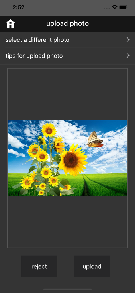 The photo upload screen in the iComfort T-Stat app displaying a sunflower field as a preview image.
