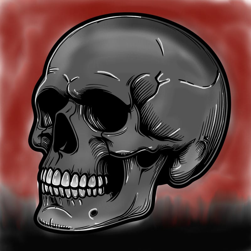 realistic skull