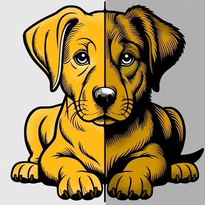 realistic dog split picture