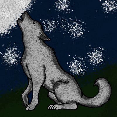 animals_36