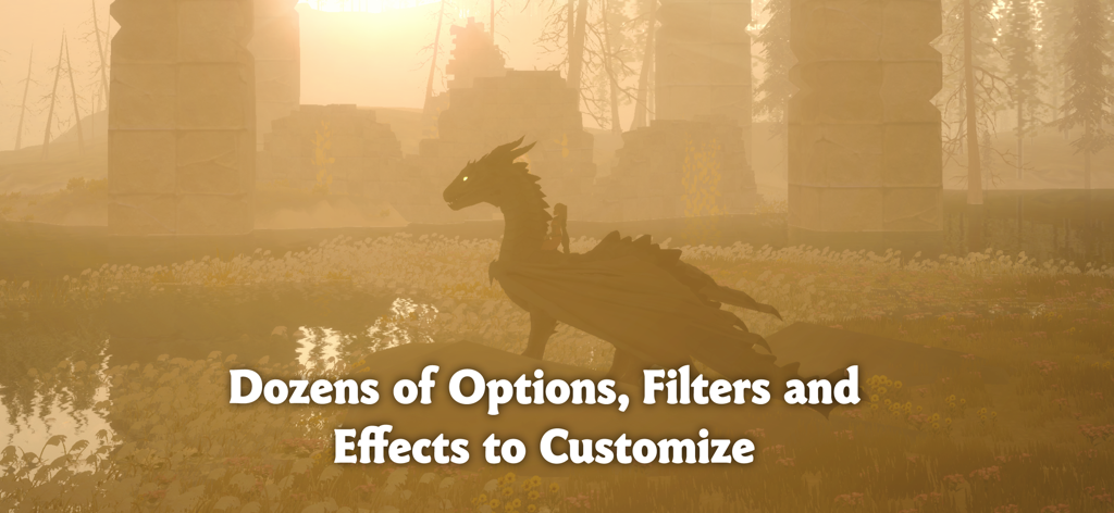 A dragon silhouette in a foggy landscape at sunset featuring customization options text