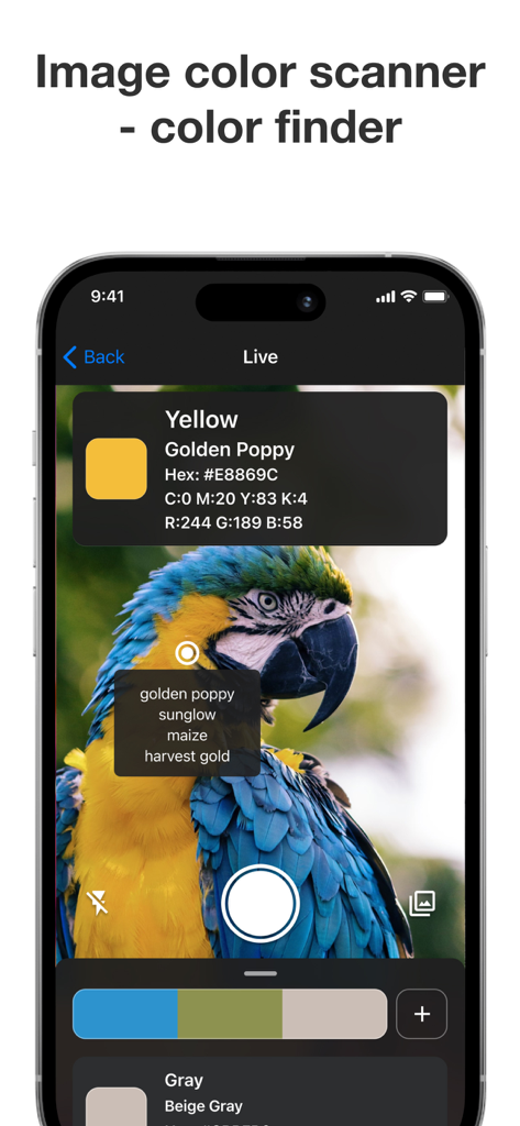 Color Identifier 앱 인터페이스가 앵무새 이미지에서 HEX 및 RGB 값을 가진 Golden Poppy 색상을 식별하고 있습니다.