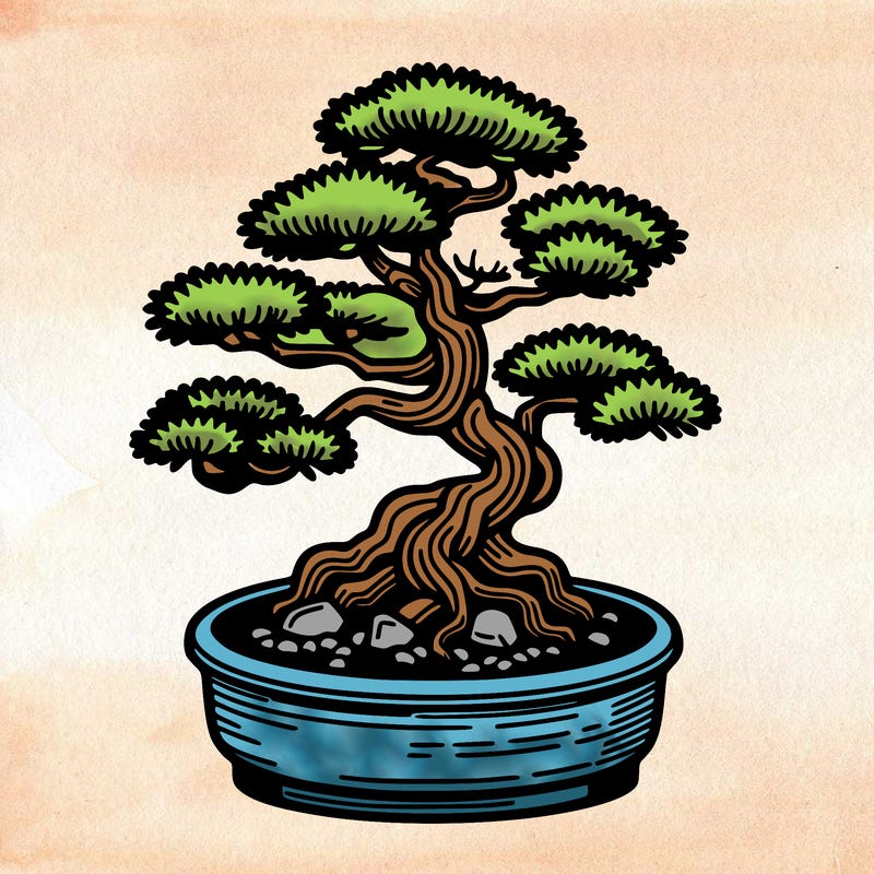 japan bonsai