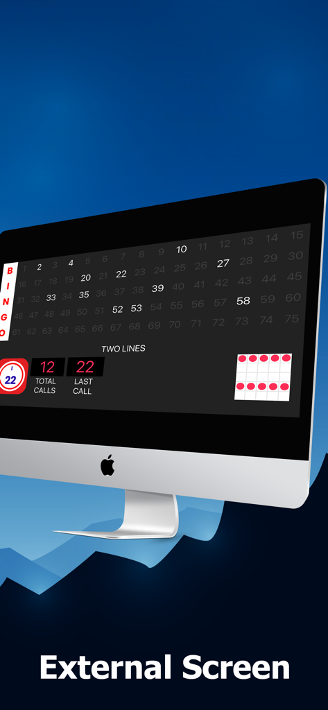 Bingo Caller at Home - Bingo game board displayed on an external monitor for group play