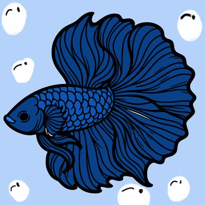 betta fish