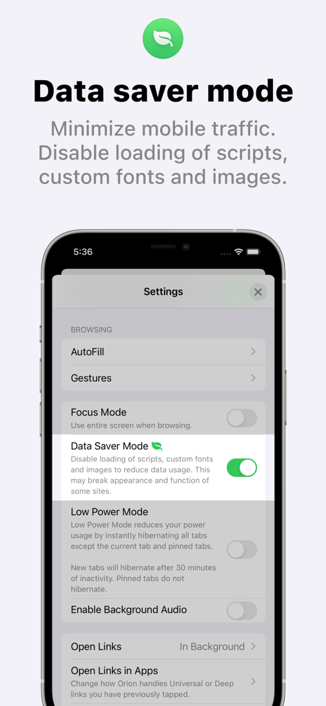 Orion Browser Data saver mode settings interface on iPhone