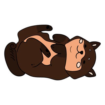 animals_30