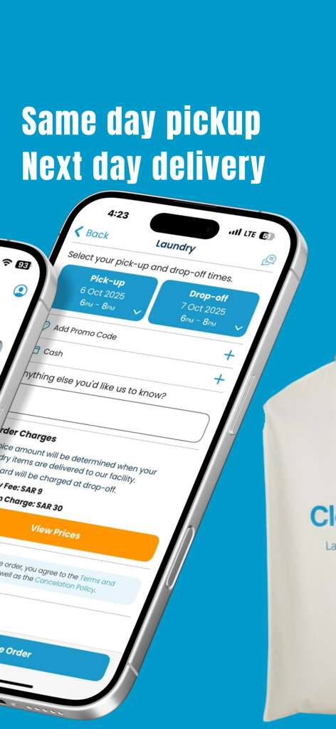 CleanLine - CleanLine app interface for scheduling laundry pickup and next day delivery