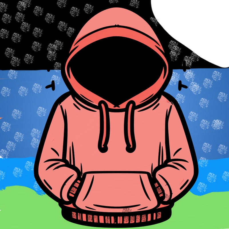 hoodie