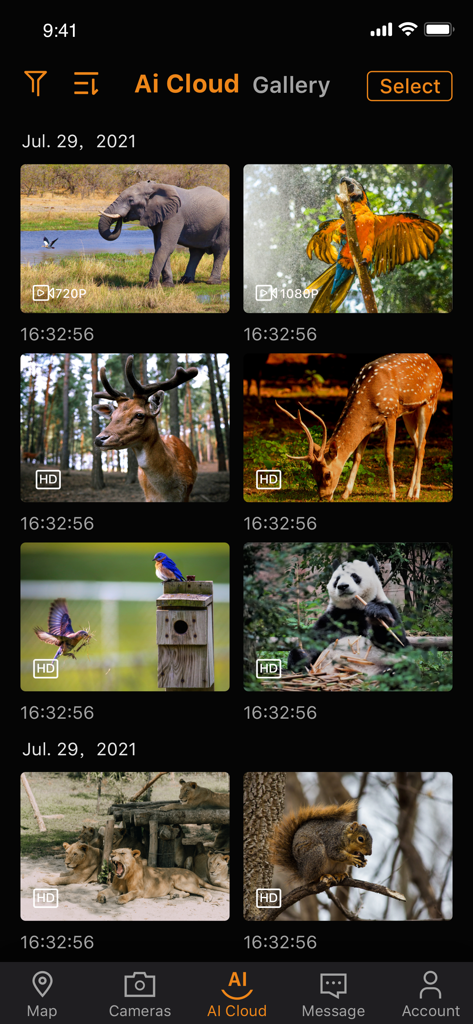 WingHomeCam: 4G Tra - WingHomeCam app showing the AI Cloud gallery with various wildlife photos including elephants and deer