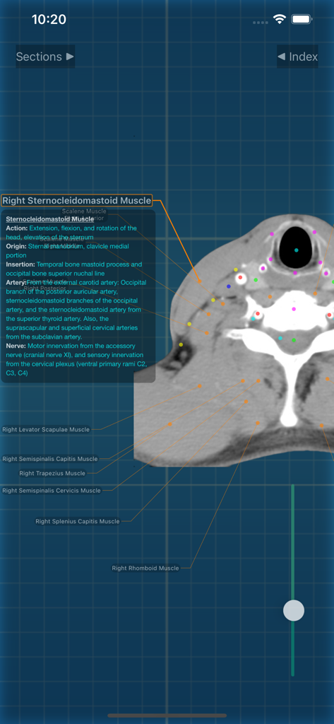 X-Anatomy Pro - Medical App | MWM