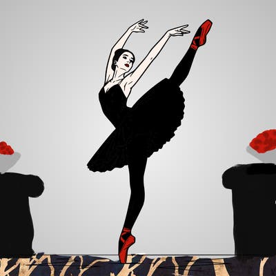 a ballerina in motion.