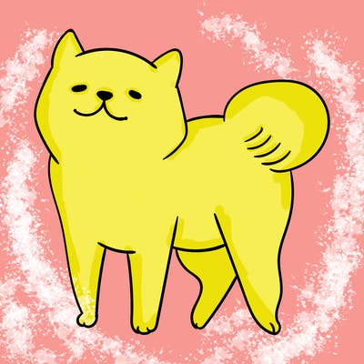 animals_29