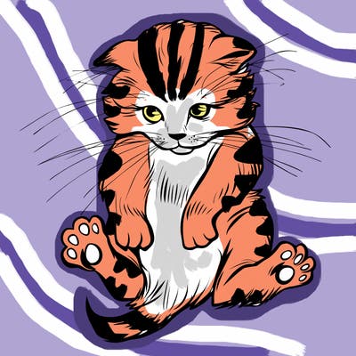 animals_20